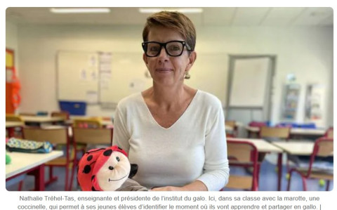 En Haute-Bretagne, 1 600 écoliers apprennent du gallo